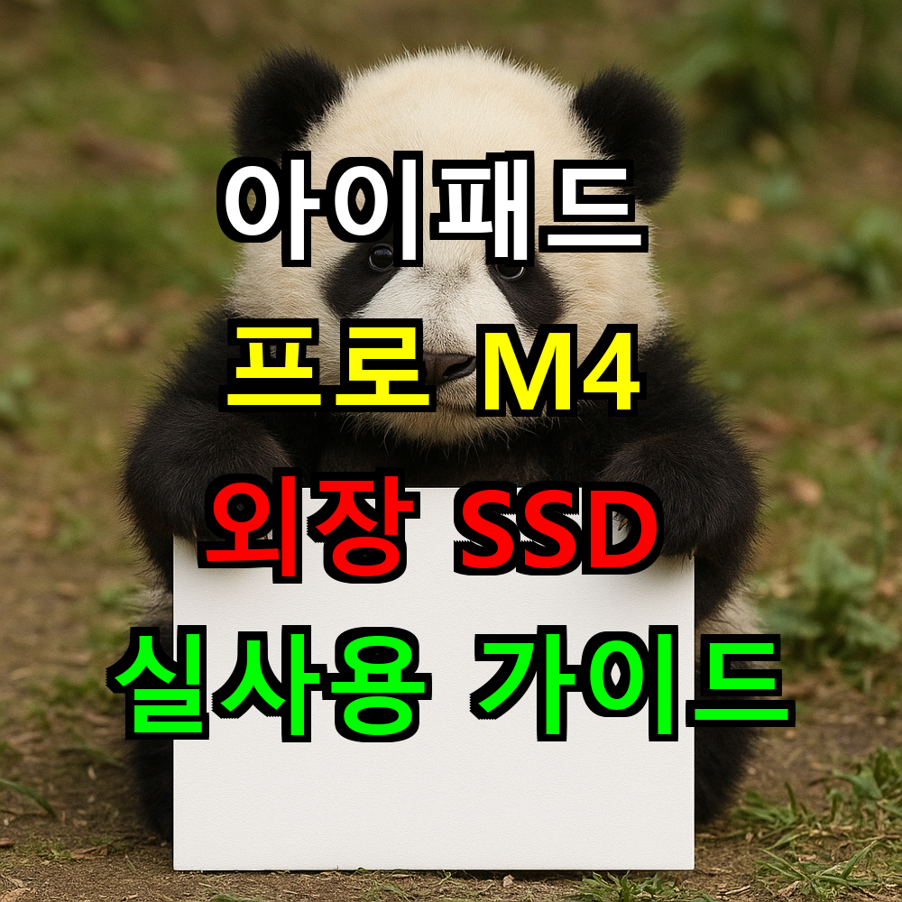 아이패드 프로 M4 외장 SSD 완벽 호환될까? 실사용 가이드