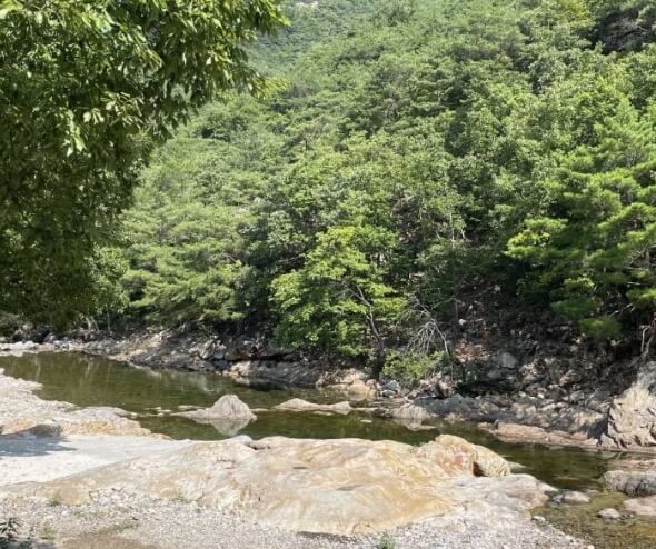 청도 가볼만한곳 베스트 10