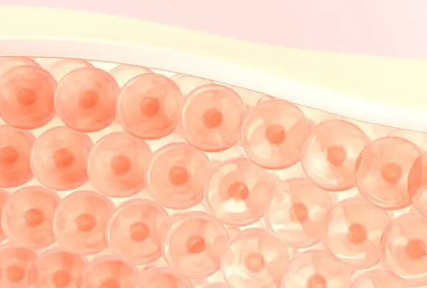 부종 빼는 방법