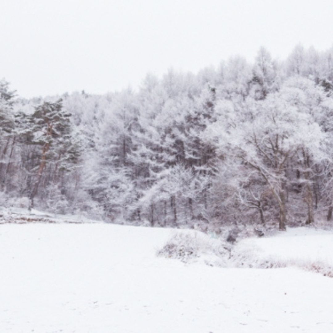 겨울에/꼭/가봐야/하는/여행지/강원도/평창