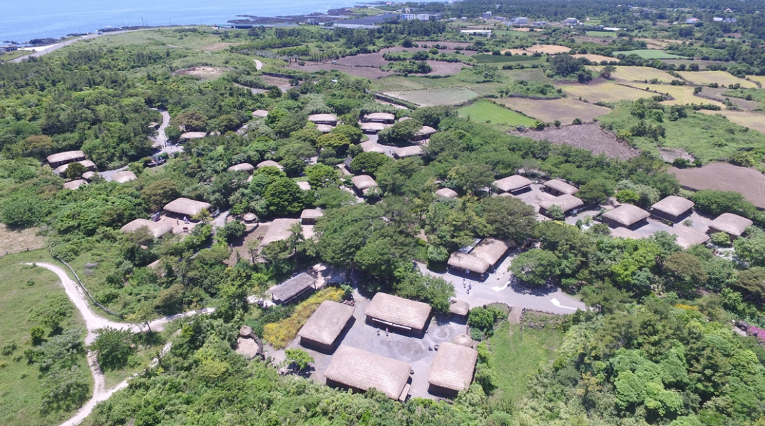 제주 메밀꽃 축제 2024 요금 행사