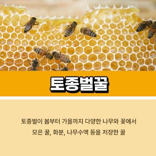 토종벌꿀