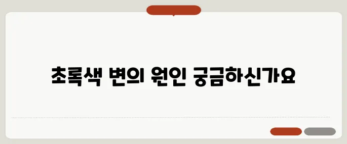 초록색 변 왜 나오지? 장 건강 이상 신호