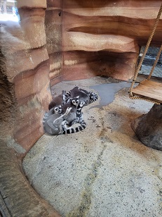 에버랜드 스마트줄서기