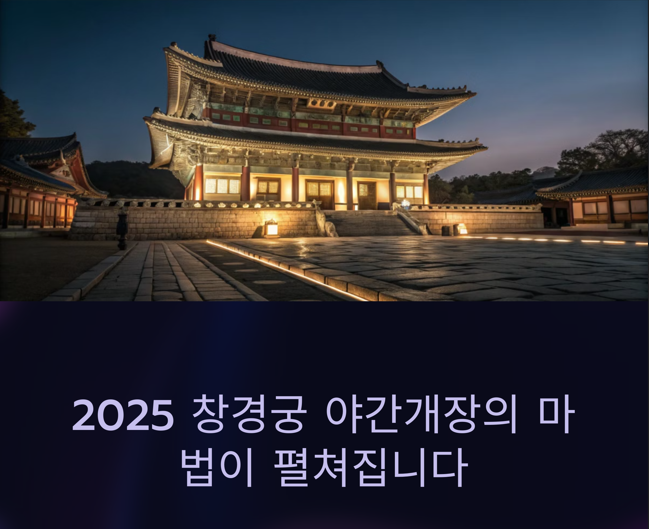 불켜진 창경궁의 아름다운 모습