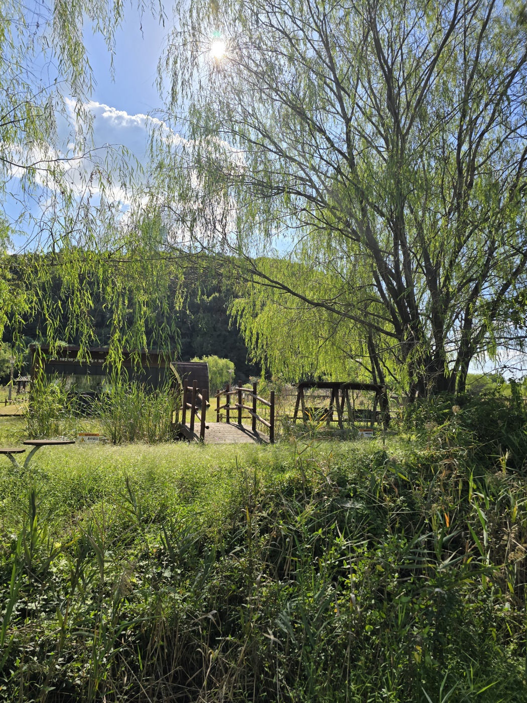시화호환경학교 뒤편의 숲속