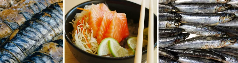 오메가3 많은 음식