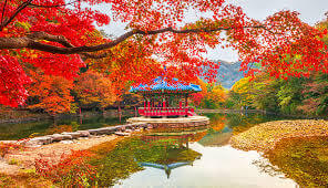 강원도 설악산&amp;#44; 오대산&amp;#44; 치악산 단풍 절정