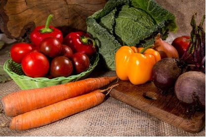 각종 야채 사진