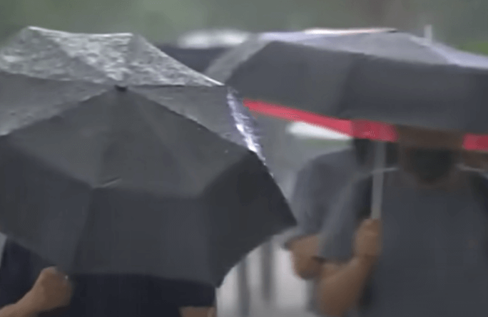 사람들이 우산을 쓰고 걷는 장면