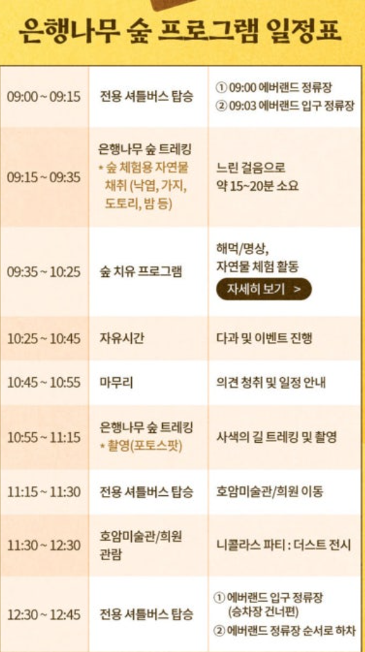 에버랜드 비밀의 은행나무숲 일정표