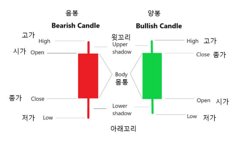 코인 차트(캔들차트) 보는 법