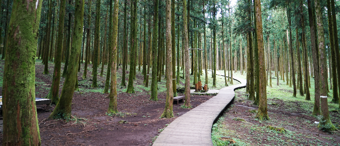 제주시-가볼만한-곳