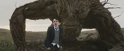 몬스터 콜