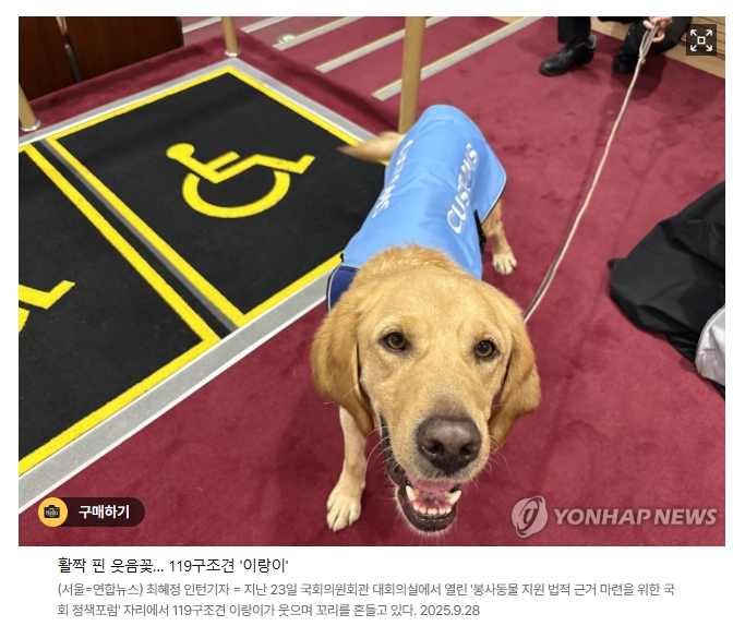 퇴역견 복지법 추진… 국회, 이제는 응답할 차례