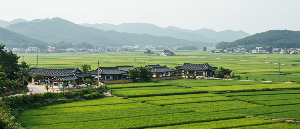 효도 여행지 추천 TOP5, 부모님 감동시킬 국내 명소 강원도정선, 전북남원