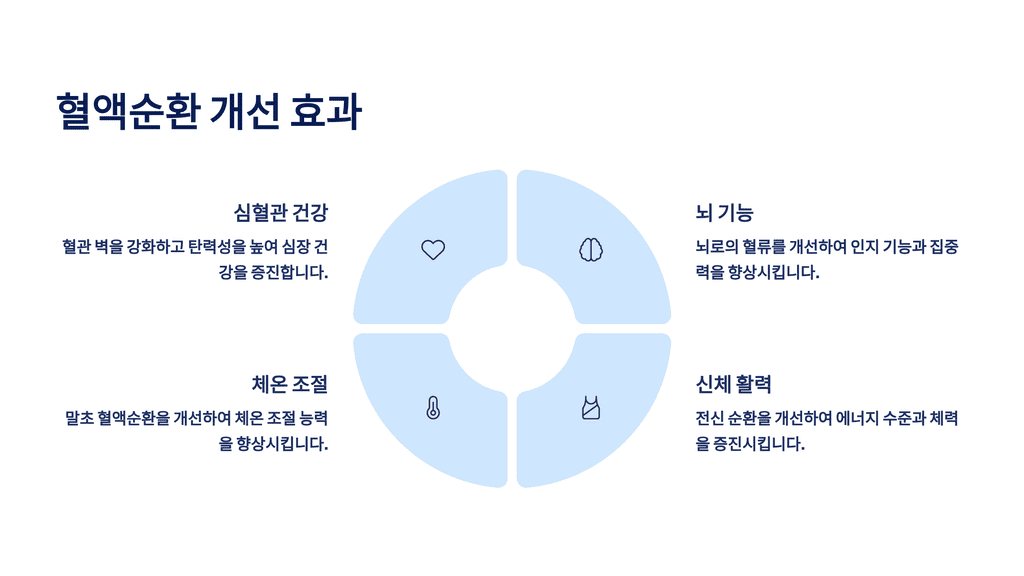 혈액순환 개선 효과