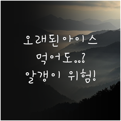오래된 아이스크림 얼음 알갱이 생겨도..