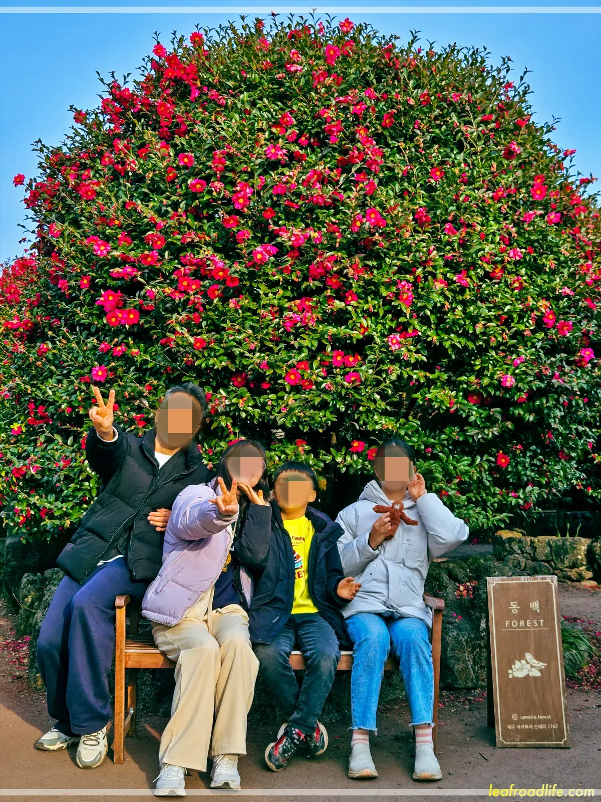 제주-동백포레스트-포토존-가족-사진