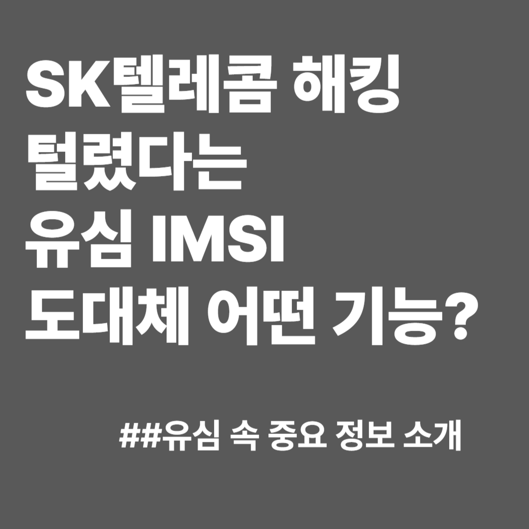 SK텔레콤해킹