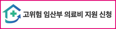 고위험 임산부 의료비 지원 사업: 신청 방법, 19대 질환 상세 안내