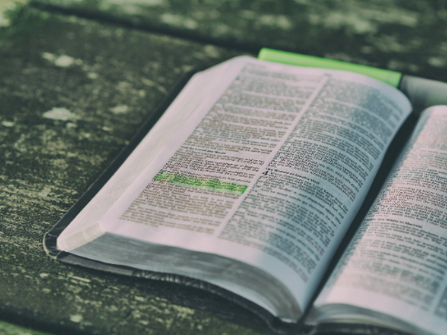 2025 수능 등급컷 한국교육과정평가원