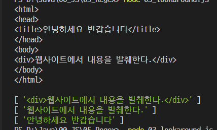 Node.JS) Regex(정규 표현식)