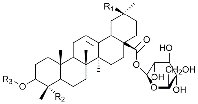 사포닌(saponin)