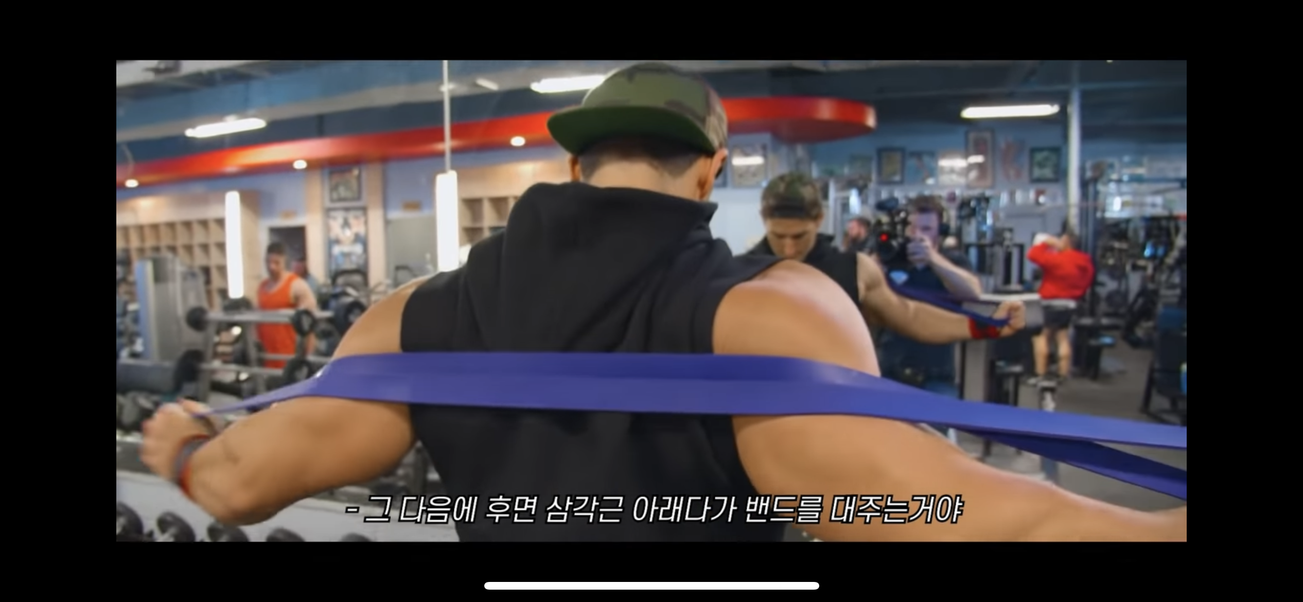 밴드 견착