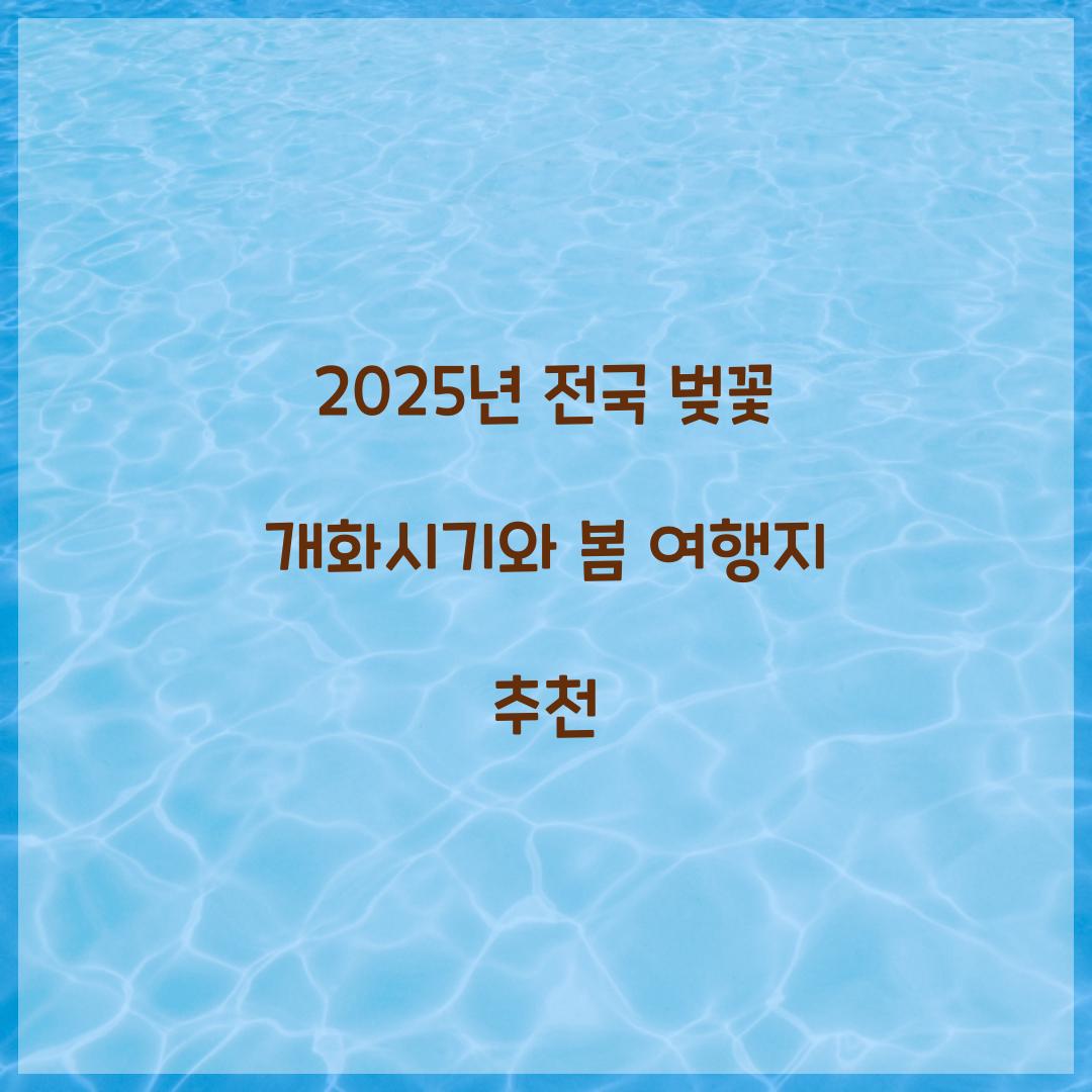 벚꽃 개화시기 2025년 전국