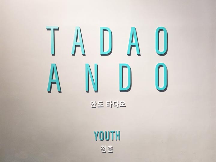 안도타다오 청춘