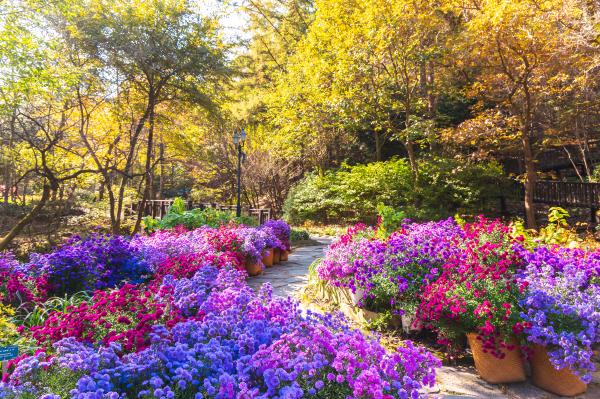 제이드가든 수목원