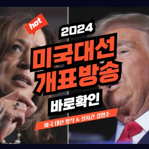 미국 대선 방식 미국 대선 개표방송 시간