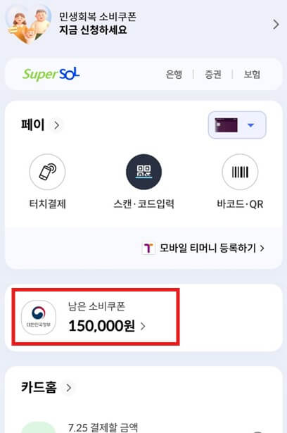 소비쿠폰 잔액확인