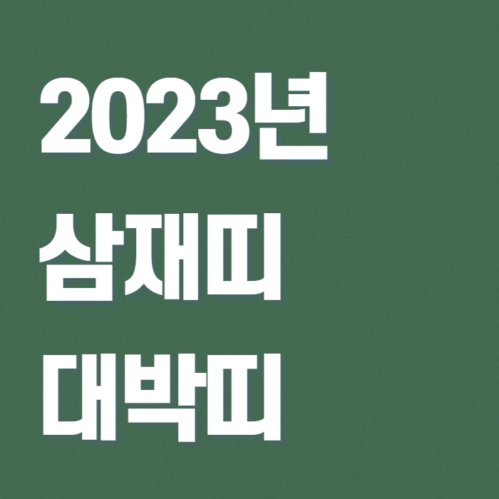 2023년 삼재띠