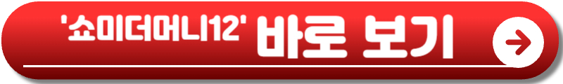 쇼미더머니12