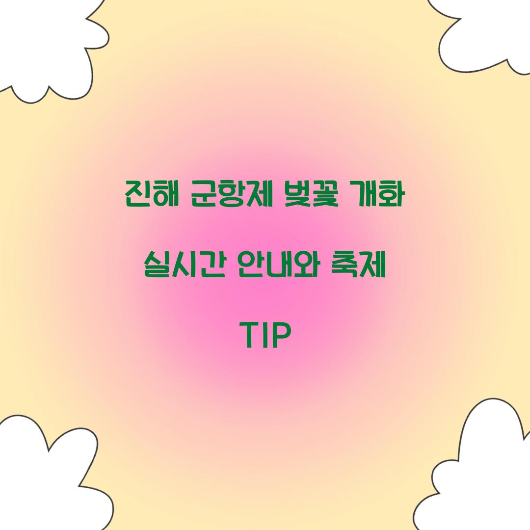 진해 군항제 벚꽃 개화