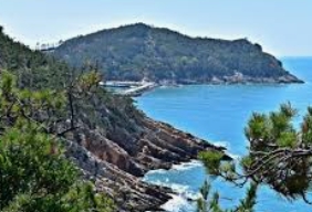 청산도 배편 예약