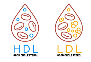 콜레스테롤 낮추는 음식