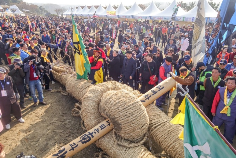 2023 기지시줄다리기 축제&#44; 암줄&#44;수줄이 결합된 상태