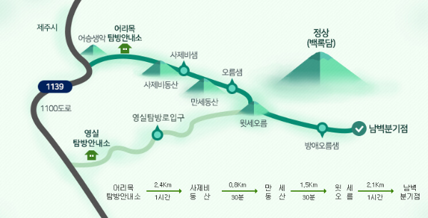 제주도 겨울 트레킹 명소 BEST 5, 한라산·절물·사려니·비자림·용머리해안 코스 정리