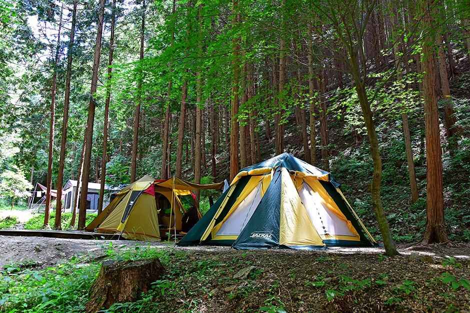 장성 편백힐 치유의 숲