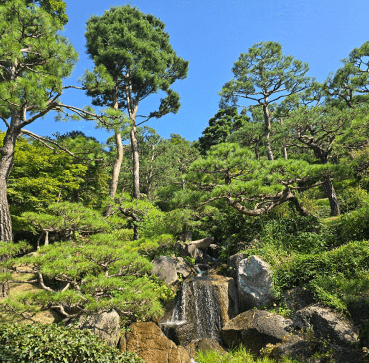 화담숲 예약 방법