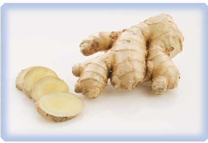 기관지에 좋은 생강