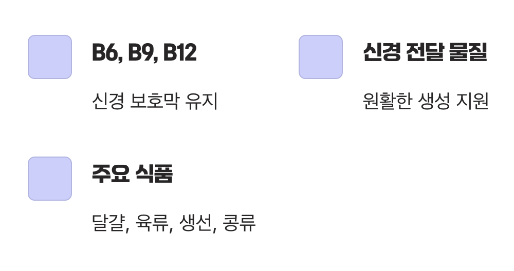 신경계의 든든한 에너지원, 비타민 B군