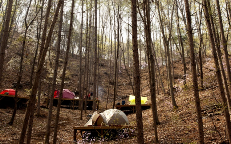 양평수목원캠핑장