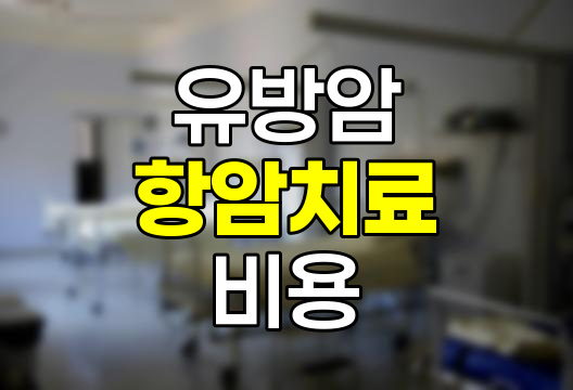 유방암 항암치료 비용 분석과 보험 준비 전략