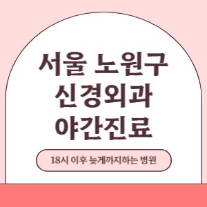 서울 노원구 야간진료 신경외과 병원 (18시 이후 늦게까지하는 병원)