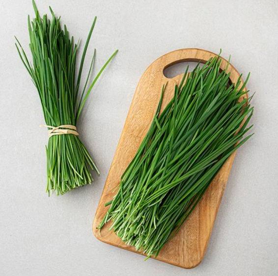 부추 효능 부작용