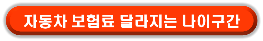 자동차 보험 비교 견적 사이트를 이용해야 하는 운전자 나이 구간에 대한 정보